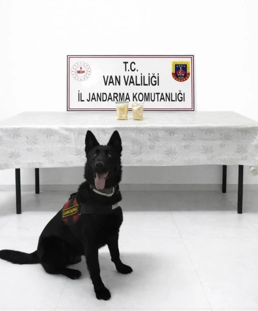 İranlı şahıs &uuml;zerinde 510 gram eroin ele ge&ccedil;irildi.
