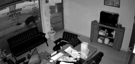 İş yeri &ouml;n&uuml;ndeki saksıdaki &ccedil;i&ccedil;ekleri s&ouml;k&uuml;p alıp gitti
