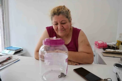 İş yerinin &ouml;n&uuml;nde akrep bulan esnaf ona bidon i&ccedil;inde bakmaya başladı
