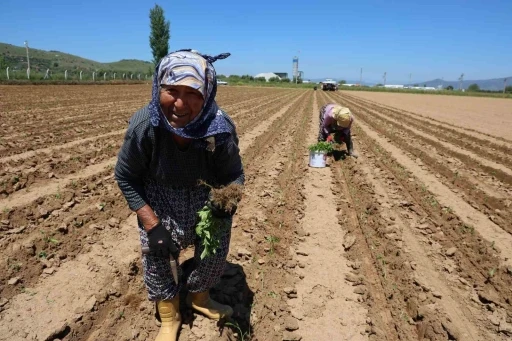 İş&ccedil;i Bayramı&rsquo;nın &ouml;teki y&uuml;z&uuml;
