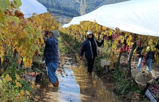 İşçiler yağmur ve çamuru aldırış etmeden üretime devam ediyor
