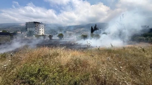 İskenderun&rsquo;da otluk alan yangını

