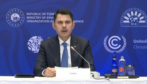 İstanbul D-8 &Ccedil;evre Bakanları deklarasyonu oy birliği ile kabul edildi
