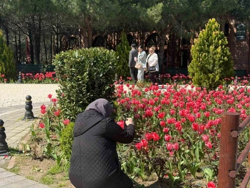 İstanbul&rsquo;da lale zamanı başladı, Pendik Korusu&rsquo;nda renk c&uuml;mb&uuml;ş&uuml; yaşandı
