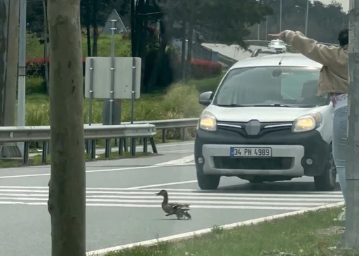 İstanbul&rsquo;da &ouml;rdeklerin g&uuml;venli ge&ccedil;işi i&ccedil;in trafik durduruldu
