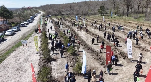 İstanbul&rsquo;da uyuşturucu operasyonunda şehit olan Emre Albayrak&rsquo;ın adı hatıra ormanında yaşayacak
