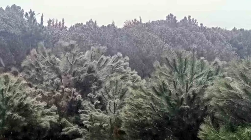 İstanbul&rsquo;da y&uuml;ksek kesimlerde kar yağışı başladı
