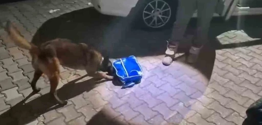 İstanbul&rsquo;dan Ankara&rsquo;ya uyuşturucu sevkiyatı Sakarya&rsquo;da engellendi: 2 tutuklama
