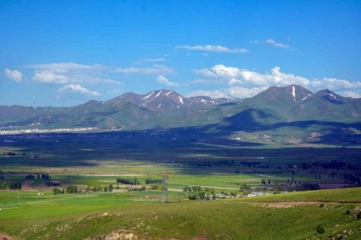 İşte Erzurum&rsquo;un tarım karnesi
