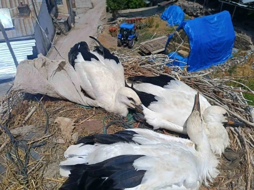 İtfaiyeden leyleğe uzanan şefkat eli
