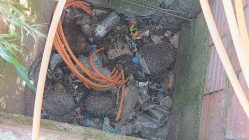 İtfaiyeden r&ouml;garda &uuml;&ccedil; kirpi, bacada ser&ccedil;e mesaisi
