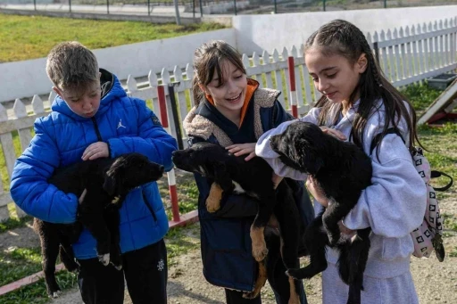 İzmir&rsquo;de 2 bin 300 patili yuva bekliyor
