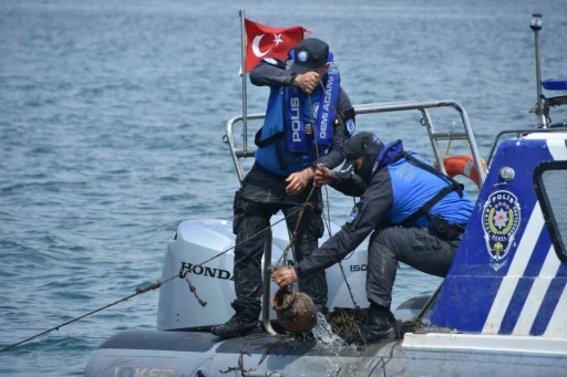 İzmir&rsquo;de deniz ekosistemini tehdit eden ka&ccedil;ak ahtapot tuzakları imha edildi
