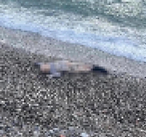 İzmir&rsquo;de deniz kıyısında &ccedil;ocuk cesedi
