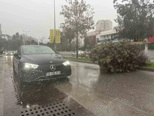 İzmir&rsquo;de fırtına ağa&ccedil;ları devirdi: 5 ara&ccedil; hasar g&ouml;rd&uuml;

