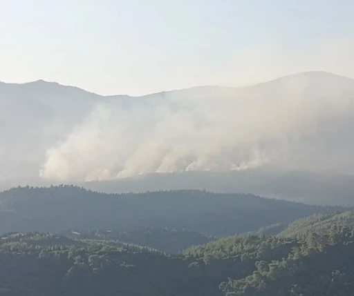 İzmir’de orman yangını sürüyor... Günün aydınlanmasıyla havadan müdahale yeniden başladı
