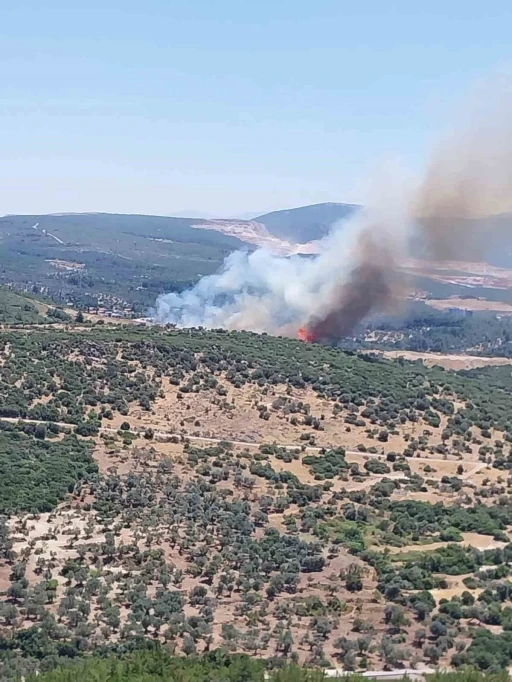 İzmir&rsquo;de orman yangınına havadan ve karadan m&uuml;dahale
