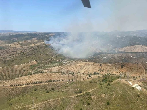 İzmir’de ormanlık alanda yangına havadan ve karadan müdahale başladı
