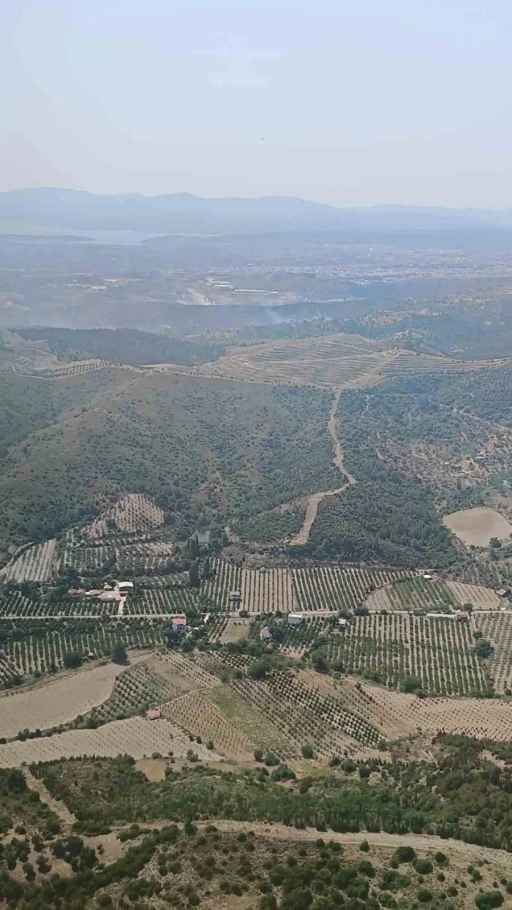 İzmir’de ormanlık arazide çıkan yangın kontrol altında
