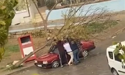 İzmir’de park halindeki otomobilin üzerine ağaç devrildi
