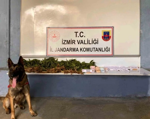 İzmir’de torbacılara ’Atik’ baskını
