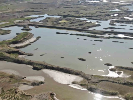 İzmir&rsquo;de yağışlar barajlara nefes aldırdı
