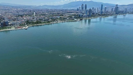 İzmir K&ouml;rfezi&rsquo;nde kirlilik dron ile tespit edildi
