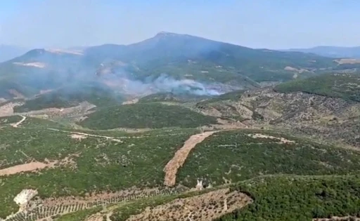 İzmir Torbalı’da orman yangınına müdahale sürüyor
