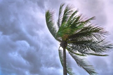 İzmir ve Ege Bölgesi İçin Hava Durumu