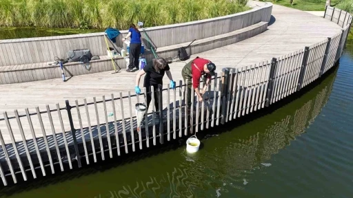 İzmit Millet Bah&ccedil;esi g&ouml;letinde bilimsel iyileştirme &ccedil;alışması başladı
