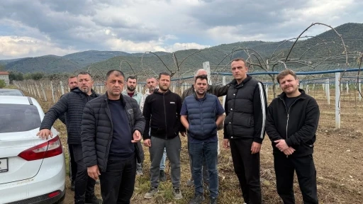İznik Ovası’nı don vurdu
