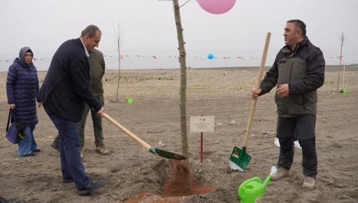 İznik&rsquo;te fidanlar toprakla buluştu
