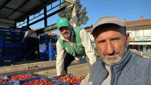 İznik&rsquo;te mevsimin ilk karabodur kirazı hasadı başladı
