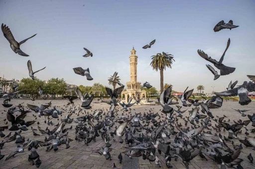 İZPA&rsquo;dan geleceğe &ccedil;ağrı: "İki &Ccedil;izgi Arasında"
