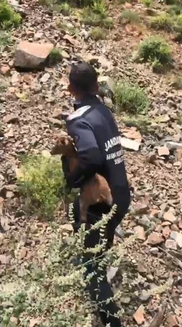 JAK dalgı&ccedil;ları sarp yama&ccedil;ta mahsur kalan yavru ke&ccedil;iyi kurtardı
