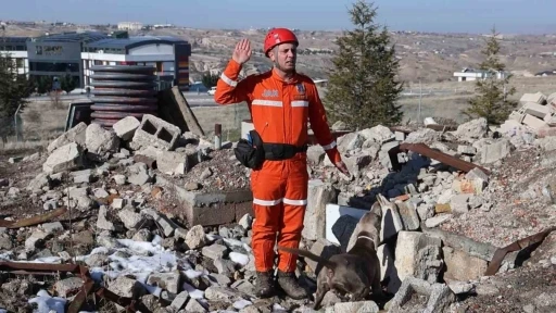 JAKEM&rsquo;de deprem sonrası umut arayan patiler
