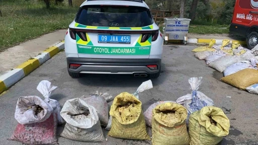 Ruhsatsız Salyangoz Taşımacılığına Jandarma Engeli