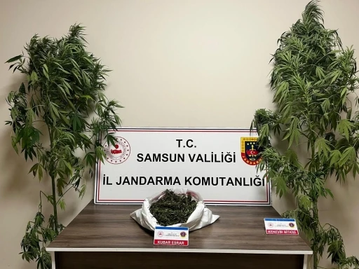 Jandarma 3 kilo 237 gram esrar ele geçirdi
