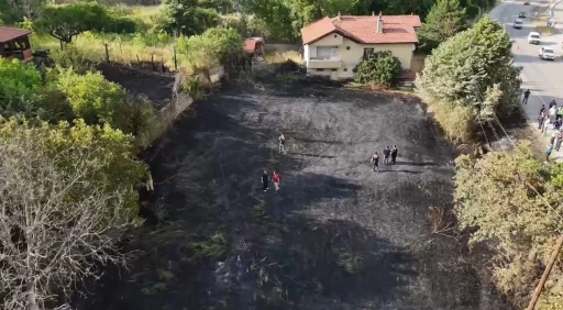 Jandarma, alevlerin arasındaki kaplumbağa ve yavrularını kurtardı
