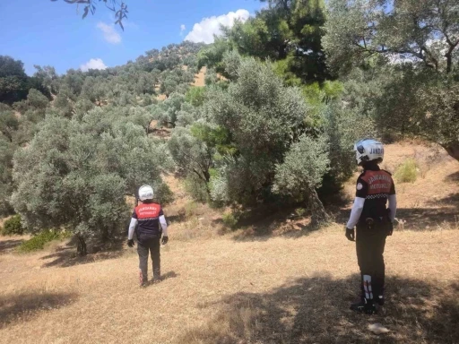 Jandarma Aydın’da yangın nöbetinde
