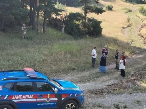 Jandarma ekipleri ormanlık ve mesire alanlarını denetledi

