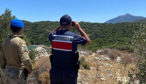 Jandarma orman nöbetinde
