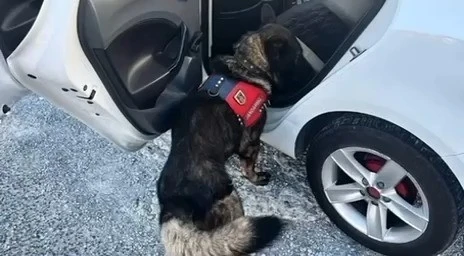 Jandarma tarafından Muğla&rsquo;da yapılan denetimde bir haftada 80 şahıs yakalandı
