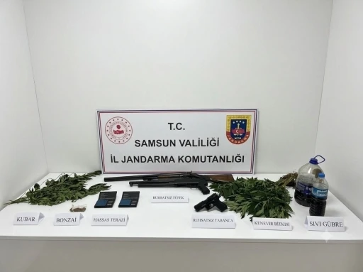 Jandarma uyuşturucu, silah ve kenevir ele ge&ccedil;irildi

