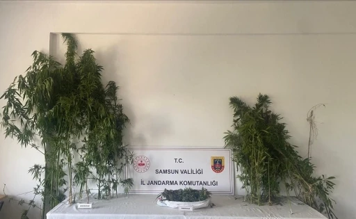 Jandarmadan iki ayrı uyuşturucu operasyonu: 3 gözaltı
