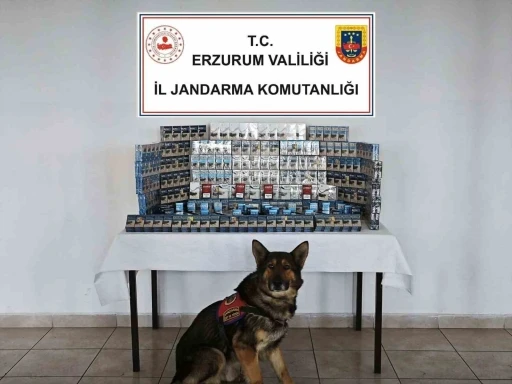 Jandarmadan kaçakçılara geçit yok
