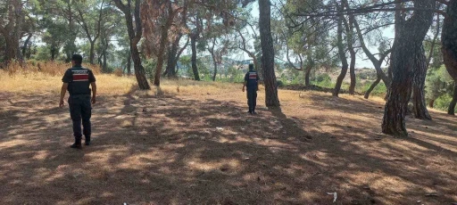 Jandarmadan orman devriyesi
