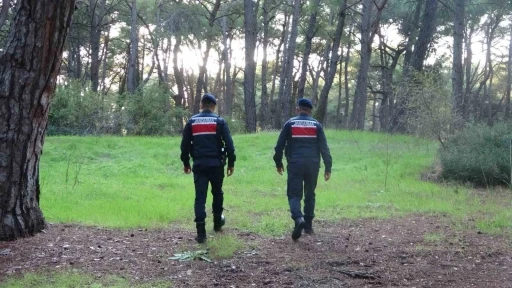 Jandarmadan ormanlık alanlarda kangal ve ateş nöbeti
