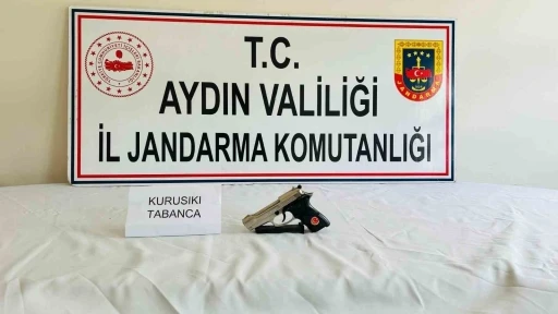 Jandarmadan silah kaçakçılarına operasyon: 10 gözaltı
