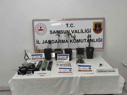 Jandarmadan uyuşturucu operasyonu
